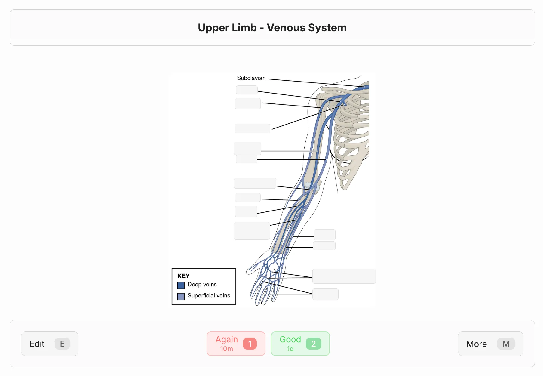Image occlusion answer demo
